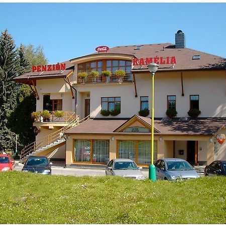 Penzion Kamelia Zsolna Kültér fotó