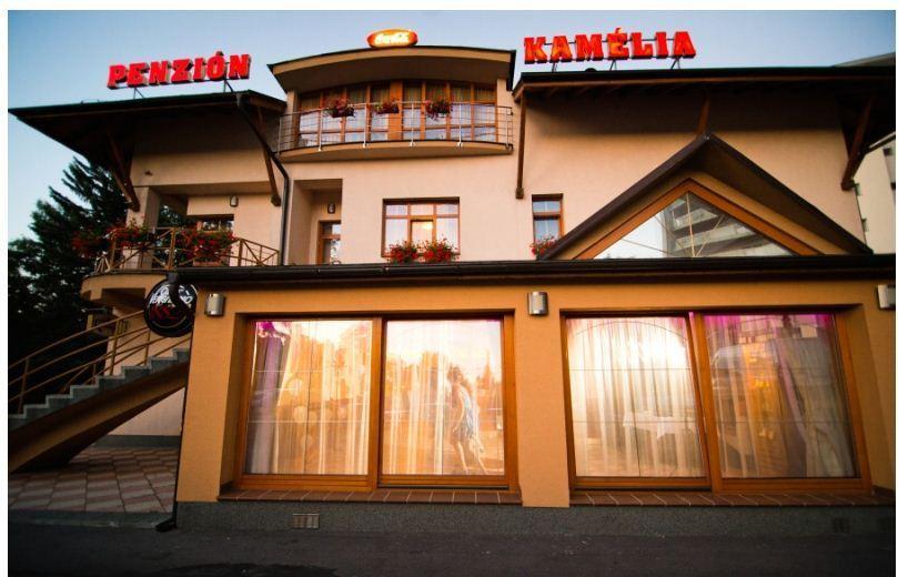 Penzion Kamelia Zsolna Kültér fotó